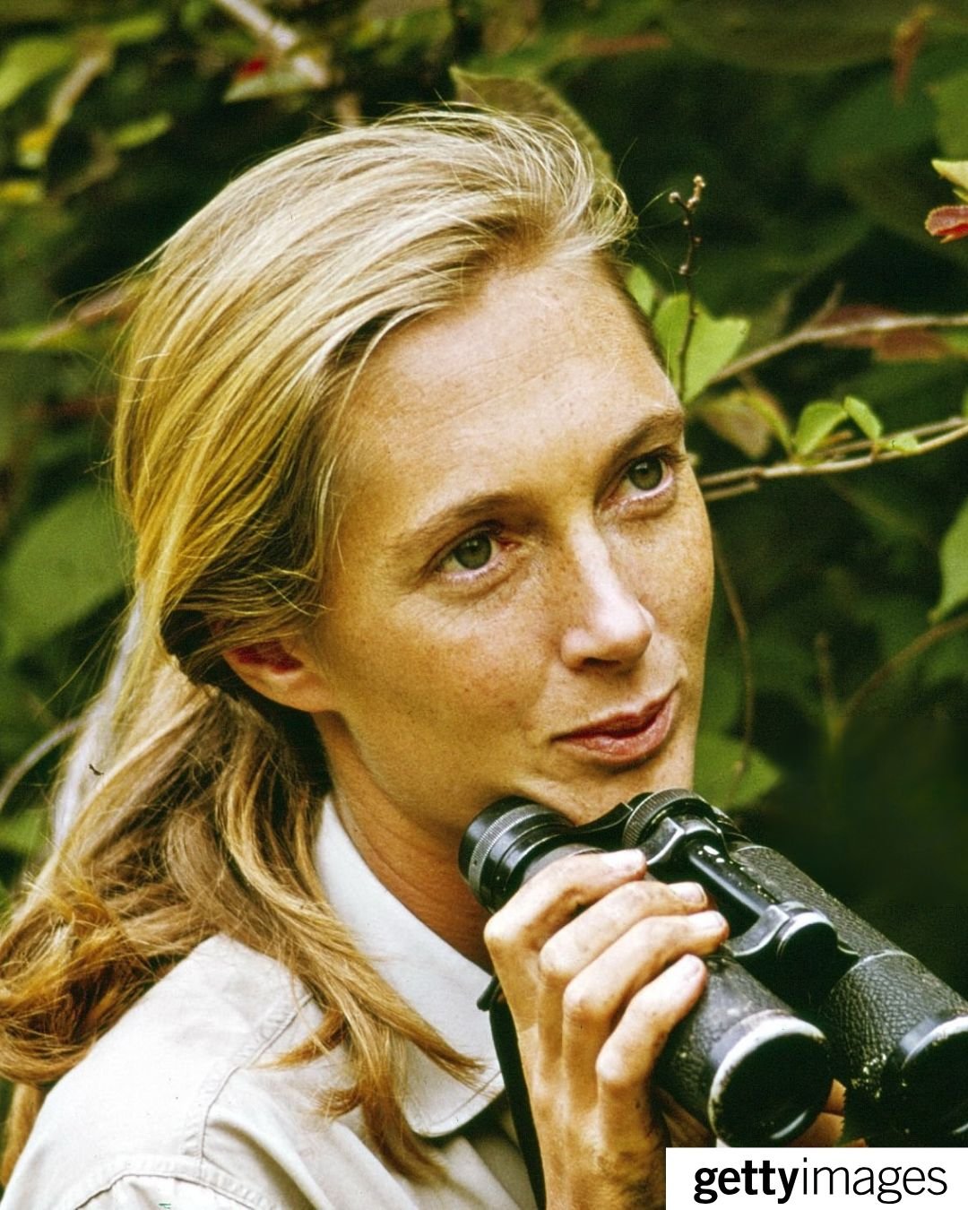 Jane Goodall joven
